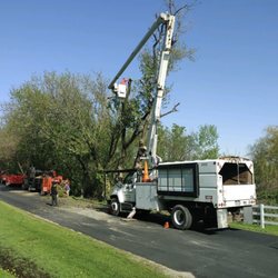Yard Rescue Services
