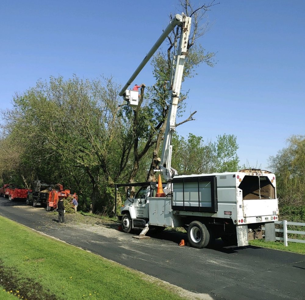 Yard Rescue Services - tree service in Genoa City, WI