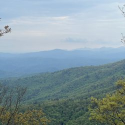 Blowing Rock Trail Rides - View from the trail ride
