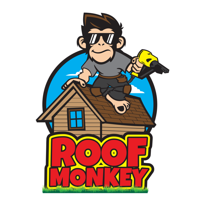 Slide of Roof Monkey