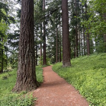 Hoyt Arboretum - Part of the wildwood trail - Botanical Gardens Near Me - Portland, Oregon