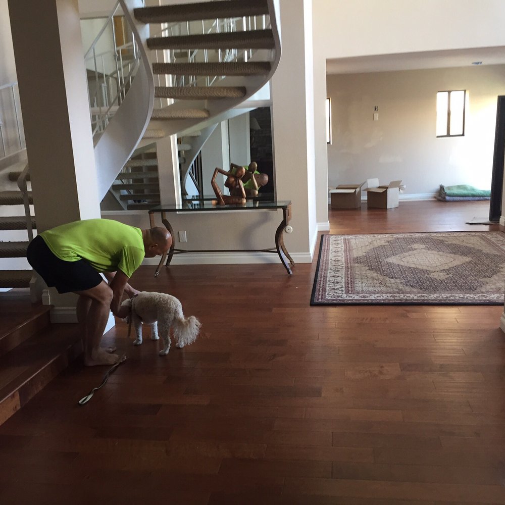 Floor Sculpture & Design - Flooring Near Me Floor Sculpture & Design - Flooring Near Me