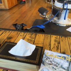 People's Barber & Shop