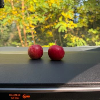 The Apple Farm - Mini apples - Fruits & Veggies Near Me - Philo, California