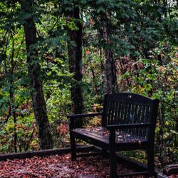 Southdale Park