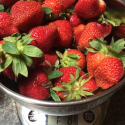 De Lange's Redberry Farm - 1 Quart is about 1.5 lbs.
