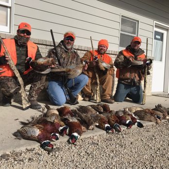Ringneck Ranch - Wildlife Hunting Ranges Near Me - Tipton, Kansas