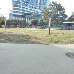 Waterfront Park - Waterfront Dog Park