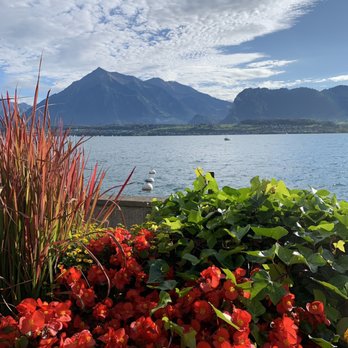 Hotel Bellevue au Lac - View - Hotels Near Me - Luzern, LU