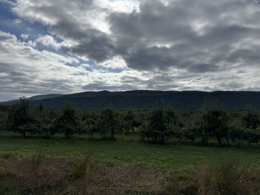 Indian Ladder Farms by null