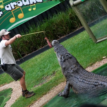 Australian Reptile Park - Zoos Near Me - Somersby, NSW Australian Reptile Park - Zoos Near Me - Somersby, NSW