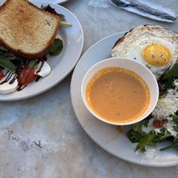 Tomato Basil Soup Tomato Basil Soup