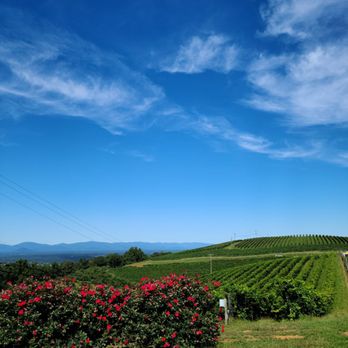 Carter Mountain Orchard - Scenic - Pick Your Own Farms Near Me - Charlottesville, Virginia