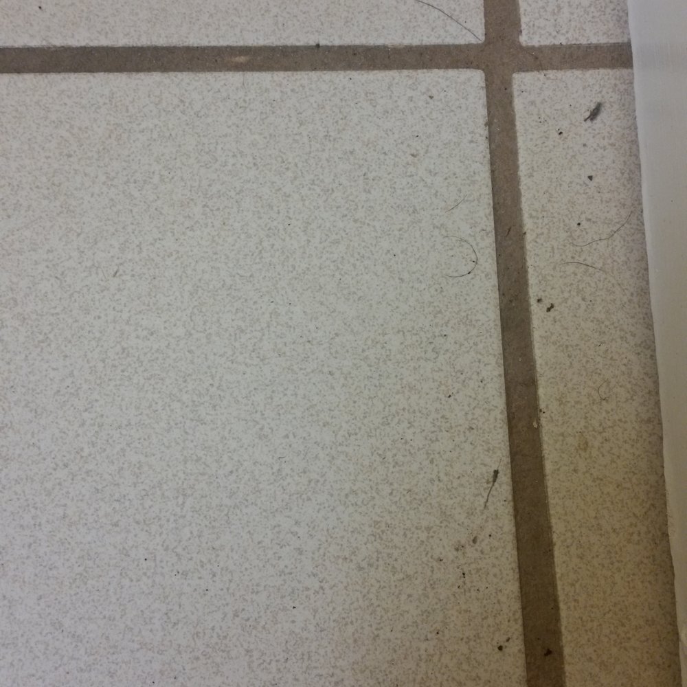 Motel 6 - Dirty, hairy floors. - Hotels Near Me - White House, Tennessee