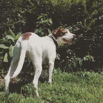 Bethany Animal Hospital - Dr. Vaughn and staff are wonderful! - Veterinarians Near Me - Bethany, Oklahoma Bethany Animal Hospital - Dr. Vaughn and staff are wonderful! - Veterinarians Near Me - Bethany, Oklahoma