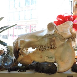 The Rock & Art Shop