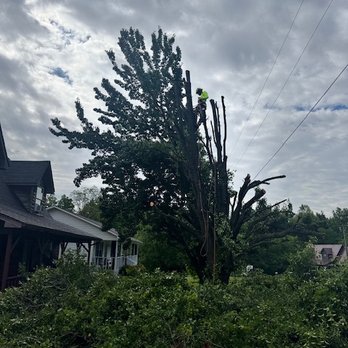 Tolbert's Tree Service - Tree Services Near Me Tolbert's Tree Service - Tree Services Near Me