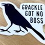 Photo of Grackles