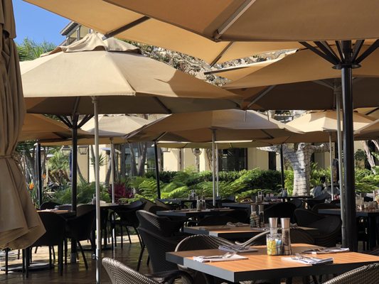 Catalina Kitchen 1230 Photos 664 Reviews Buffets 100