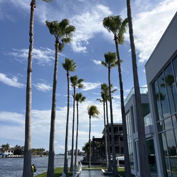 Estrada's Tree Service - Tree Services Near Me - Coconut Creek, Florida Estrada's Tree Service - Tree Services Near Me - Coconut Creek, Florida