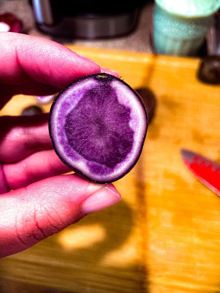 RED DOG MARKET Updated September 2024 1503 Ridge Rd, Pottstown, Pennsylvania Farmers