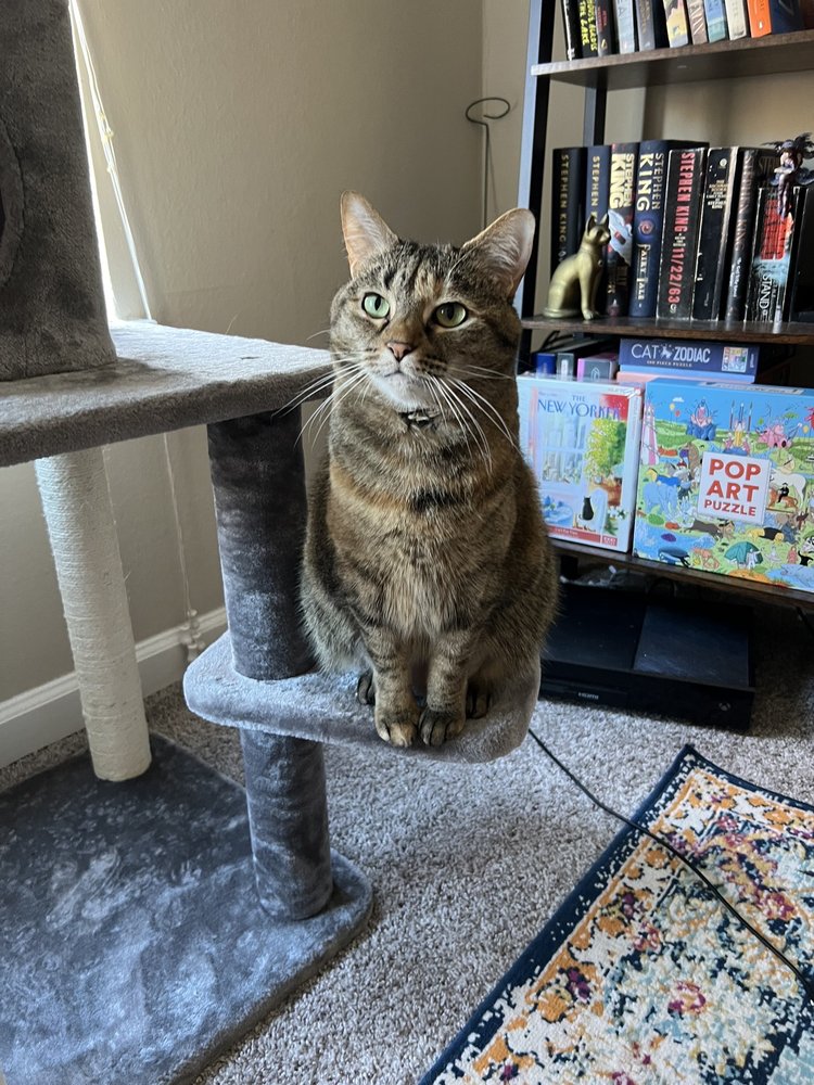 PLEASANTBURG VETERINARY CLINIC 15 Photos & 16 Reviews 634 S