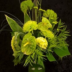 Rebecca's Flower Shoppe - Monocromatic