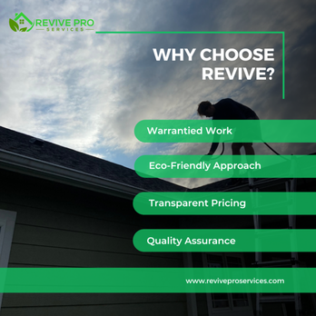 Revive Pro Services - Window Washing Near Me Revive Pro Services - Window Washing Near Me