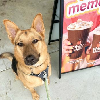 Philz Coffee - Coffee & Tea Near Me - Torrance, California Philz Coffee - Coffee & Tea Near Me - Torrance, California