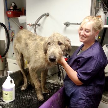 Paws & Claws - Pet Sitting Near Me - Eau Claire, Wisconsin
