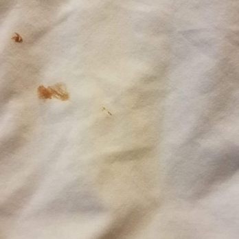 Carson Hotspring Golf and Spa Resort - This urine, feces, and or blood covered sheet is what is considered clean at this "resort" and the heat doesn't work.. - Day Spas Near Me - Carson, Washington Carson Hotspring Golf and Spa Resort - This urine, feces, and or blood covered sheet is what is considered clean at this "resort" and the heat doesn't work.. - Day Spas Near Me - Carson, Washington