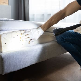 Advantage Pest Control Solutions - Pest Control Near Me - Belleville, Illinois Advantage Pest Control Solutions - Pest Control Near Me - Belleville, Illinois