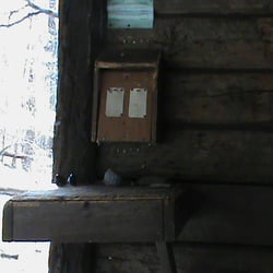 Calf Mountain Shelter - Shelter 'Guest Registry' is in the hanging box.
