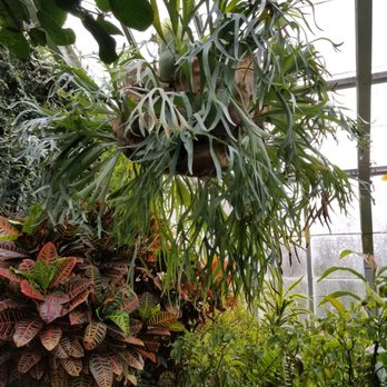 Lamberton Conservatory - Botanical Gardens Near Me - Rochester, New York