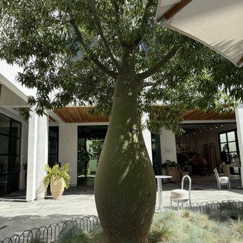 Concierge Coffee - Sitting area in the back - Coffee & Tea Near Me - Los Angeles, California