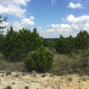 Debbie Gordon - SOLD 1 acre in Fischer, TX - Real Estate Agents Near Me Debbie Gordon - SOLD 1 acre in Fischer, TX - Real Estate Agents Near Me