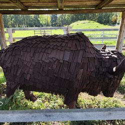 Wildpark Alte Fasanerie