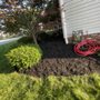 Photo of Modelo Landscaping