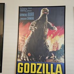 Cool Stuff - Godzilla King Of The Monsters With Raymond Burr.