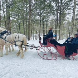 Calèches Québec