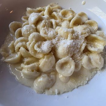 Bella Maci - Orecchiette Alfredo - Italian Near Me - Folsom, California Bella Maci - Orecchiette Alfredo - Italian Near Me - Folsom, California