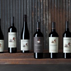 Canvasback - Canvasback Wine Selections