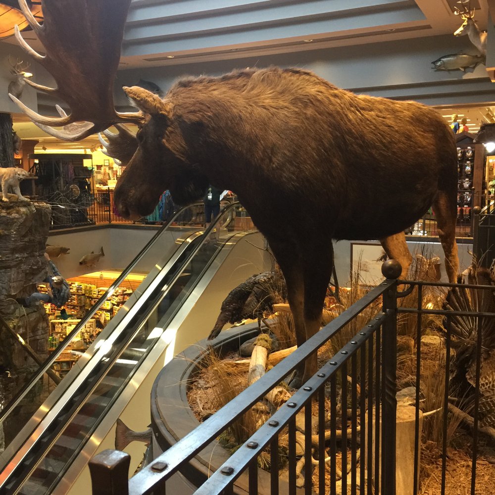 Bass Pro Shops - Hunting & Fishing Supplies Near Me - Cincinnati, Ohio Bass Pro Shops - Hunting & Fishing Supplies Near Me - Cincinnati, Ohio