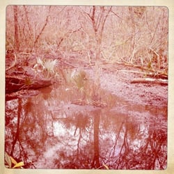 Hogtown Creek Greenway