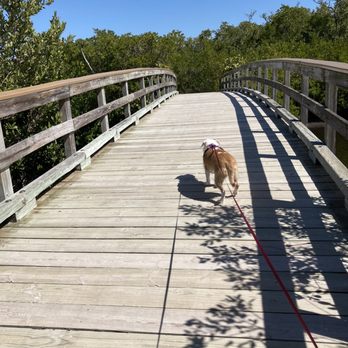Robinson Preserve - Parks Near Me - Bradenton, Florida