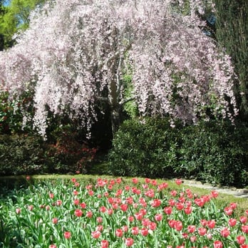 Filoli - Botanical Gardens Near Me - Woodside, California Filoli - Botanical Gardens Near Me - Woodside, California