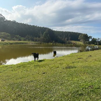 All About The View - ATV Rentals/Tours Near Me - Honokaa, Hawaii