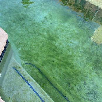 Pool Pro's - Pool Cleaners Near Me - Lewisville, Texas