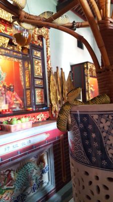 Penang Snake Temple by null