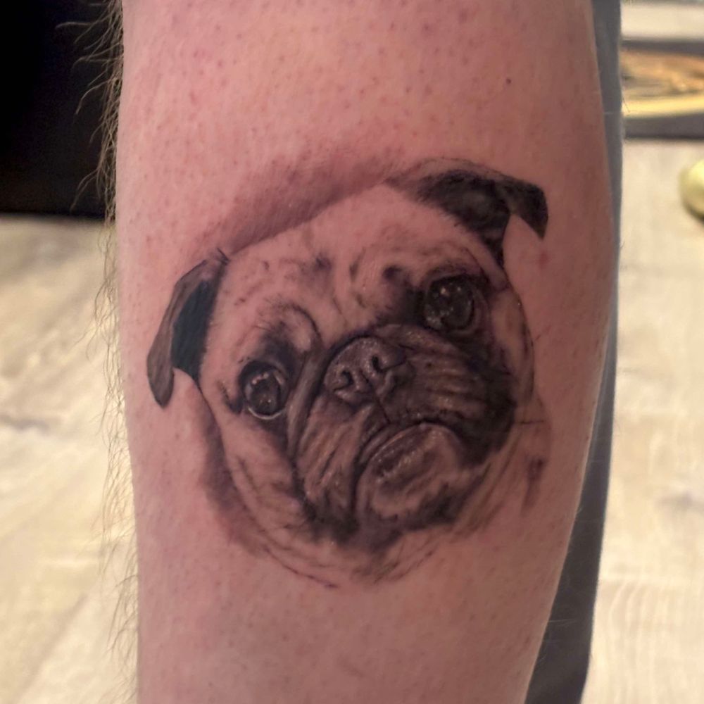 Harmony Tattoo - Gracie, my sobriety ride or die. - Tattoo Near Me - Knoxville, Tennessee Harmony Tattoo - Gracie, my sobriety ride or die. - Tattoo Near Me - Knoxville, Tennessee